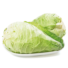 POINTED CABBAGE